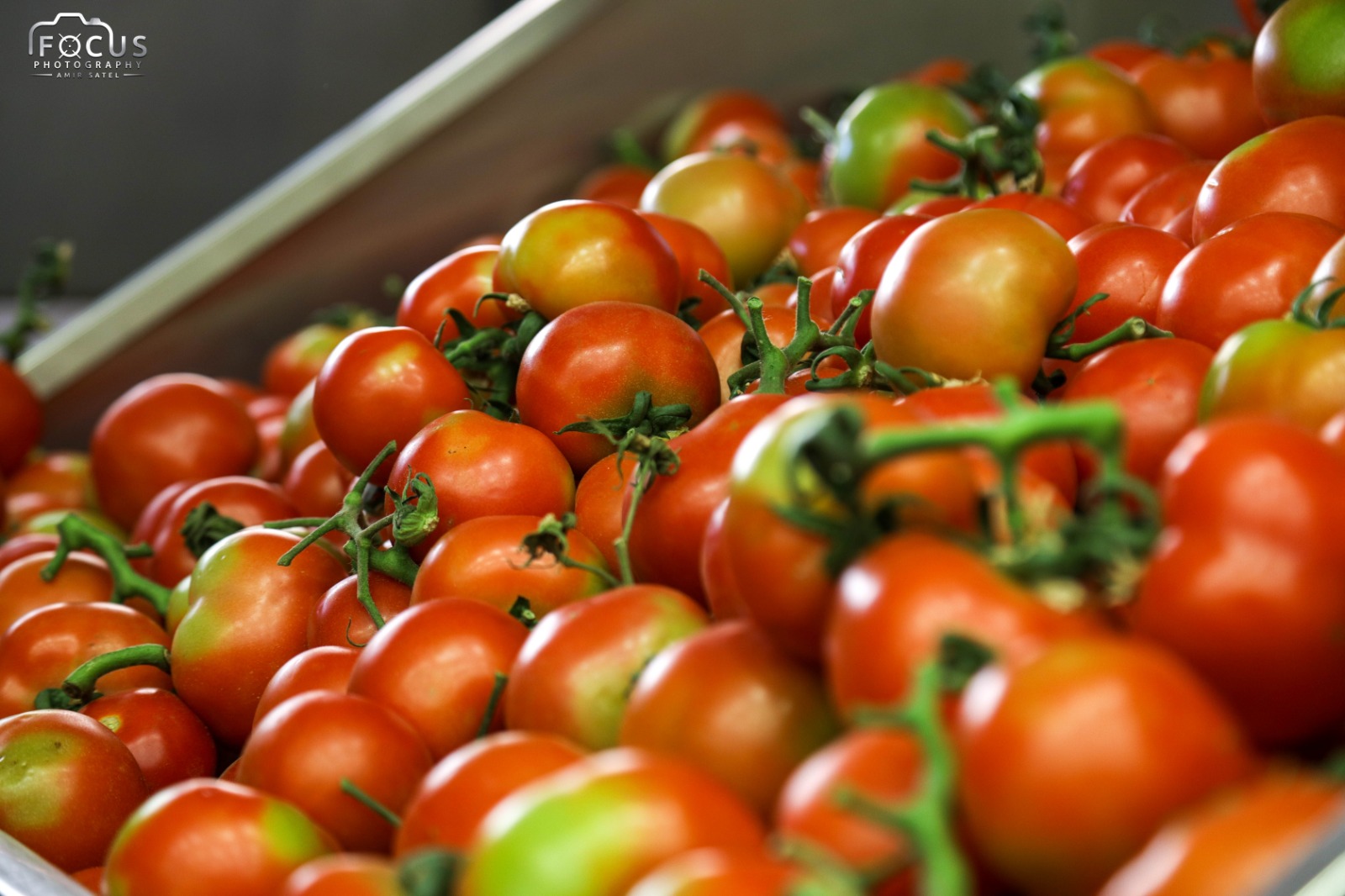 WhatsApp Image 2021-04-11 at 6.05.21 PM (1).jpeg